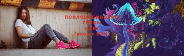 ешки Белоозёрский