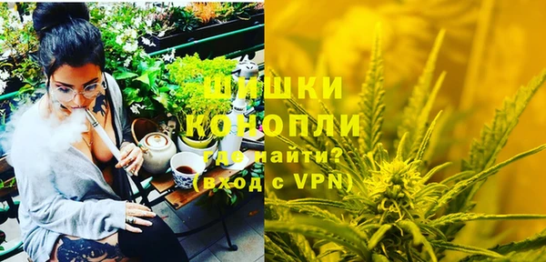 хмурый Белокуриха