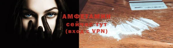 хмурый Белокуриха