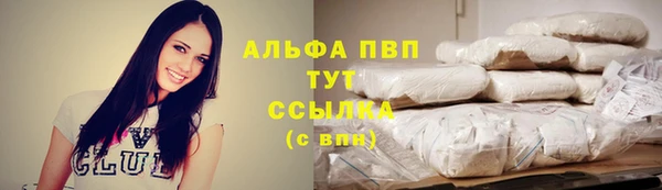 ПСИЛОЦИБИНОВЫЕ ГРИБЫ Беломорск