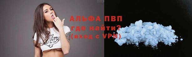ПСИЛОЦИБИНОВЫЕ ГРИБЫ Беломорск