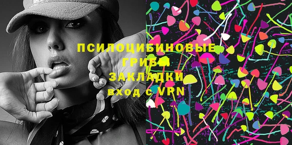 хмурый Белокуриха