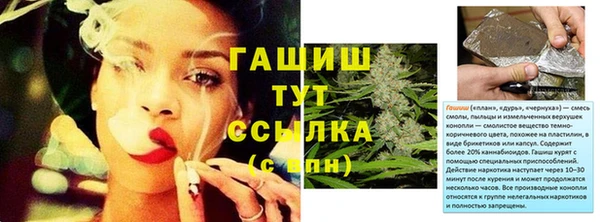 хмурый Белокуриха