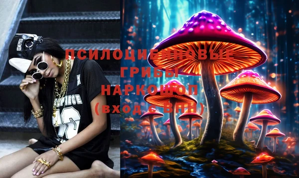 хмурый Белокуриха