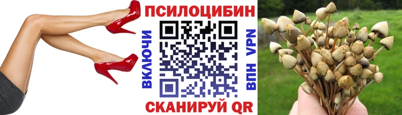 Галлюциногенные грибы GOLDEN TEACHER  дарнет шоп  Пыть-Ях 